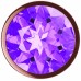 Анальная пробка Diamond Amethyst Shine L розовое золото