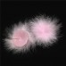 Нежно-розовые пушистые пэстисы Нежно-розовые пушистые пэстисы