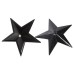 Черные металлические пэстисы звездочки