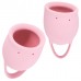 Набор менструальных чаш Natural Wellness Magnolia Light Pink Набор менструальных чаш Natural Wellness Magnolia Light Pink