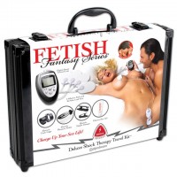 Набор для электросекса FF Series Deluxe Shock Therapy Travel Kit